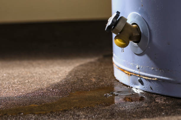 Best Mold removal after water damage  in Middletown, PA