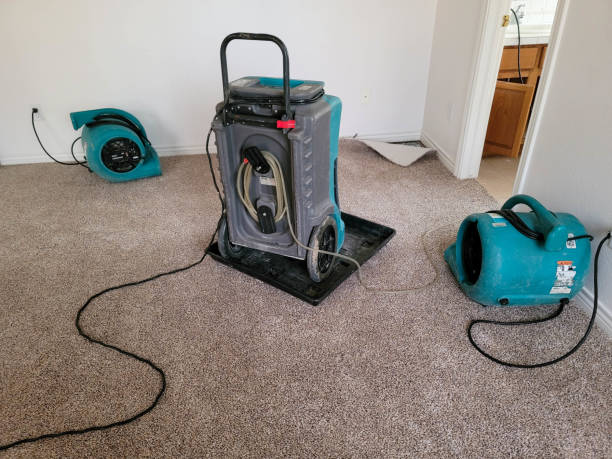 Best 24/7 water damage repair  in Middletown, PA