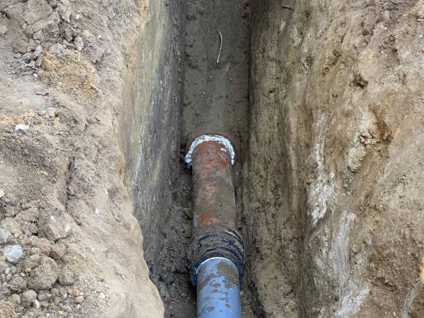 Best Flood damage cleanup  in Middletown, PA