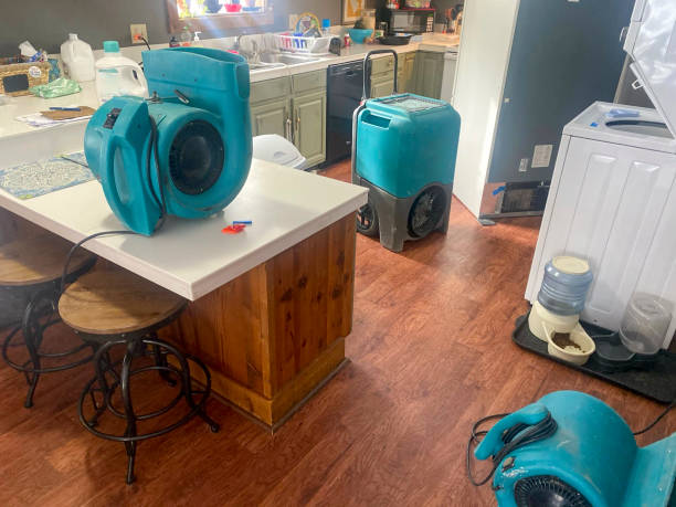 Best Sewage cleanup and water damage restoration  in Middletown, PA