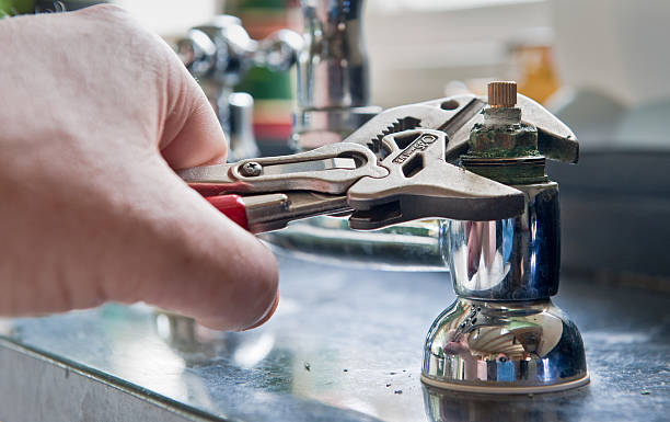 Best Mold removal after water damage  in Middletown, PA