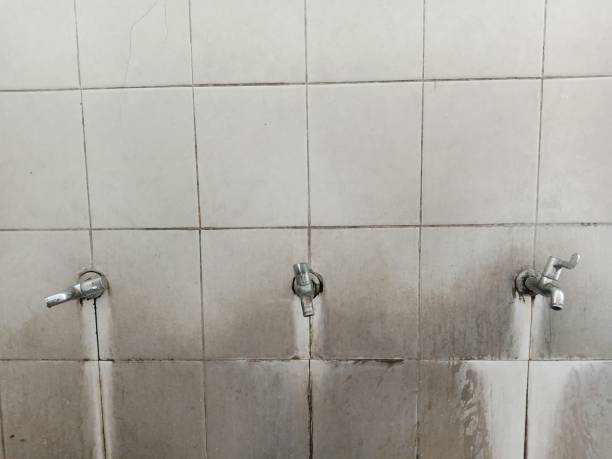 Best 24-hour water damage restoration  in Middletown, PA