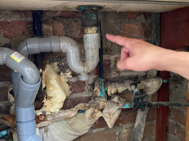 Best Water damage contractors near me  in Middletown, PA