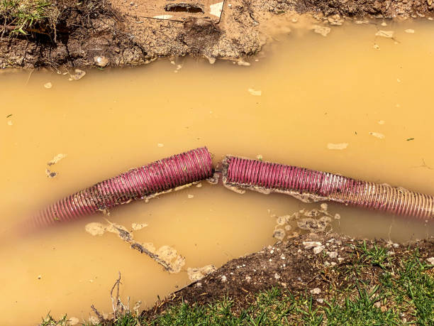 Best Flood restoration services  in Middletown, PA