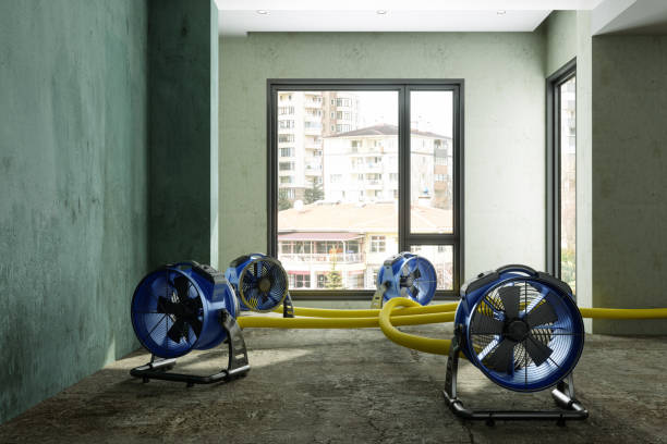 Best 24/7 water damage repair  in Middletown, PA